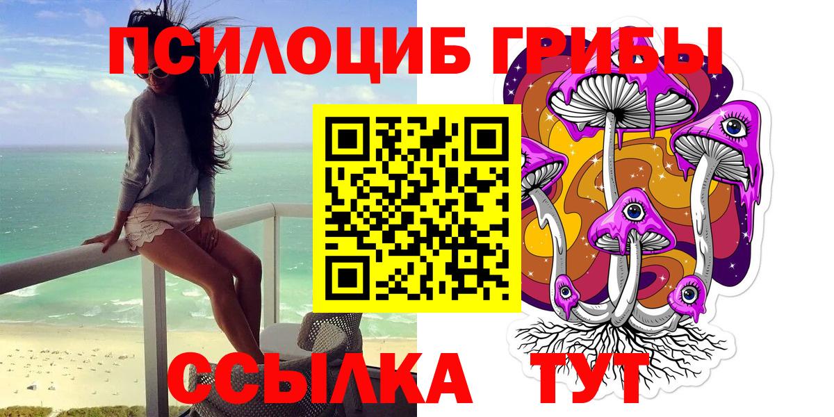 Галлюциногенные грибы GOLDEN TEACHER  купить наркотик  Красноярск  Вход с VPN 